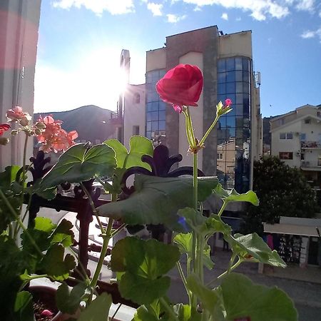 Kiwi Apartments Budva Exterior photo