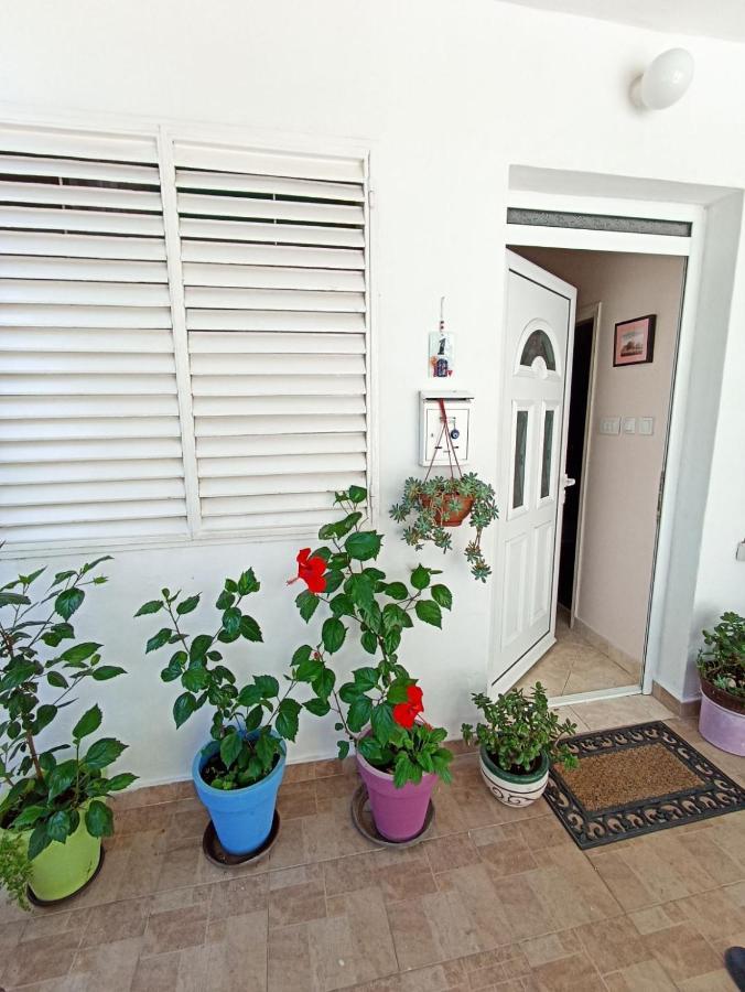 Kiwi Apartments Budva Exterior photo